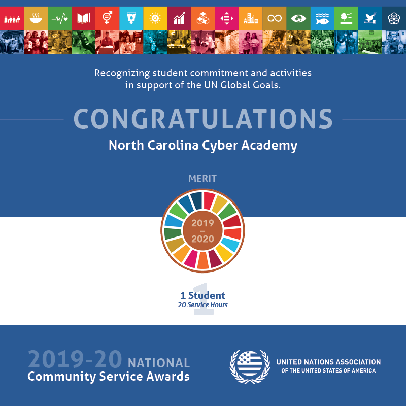 InnerView Group Profile North Carolina Cyber Academy InnerView Group Profile North Carolina Cyber Academy