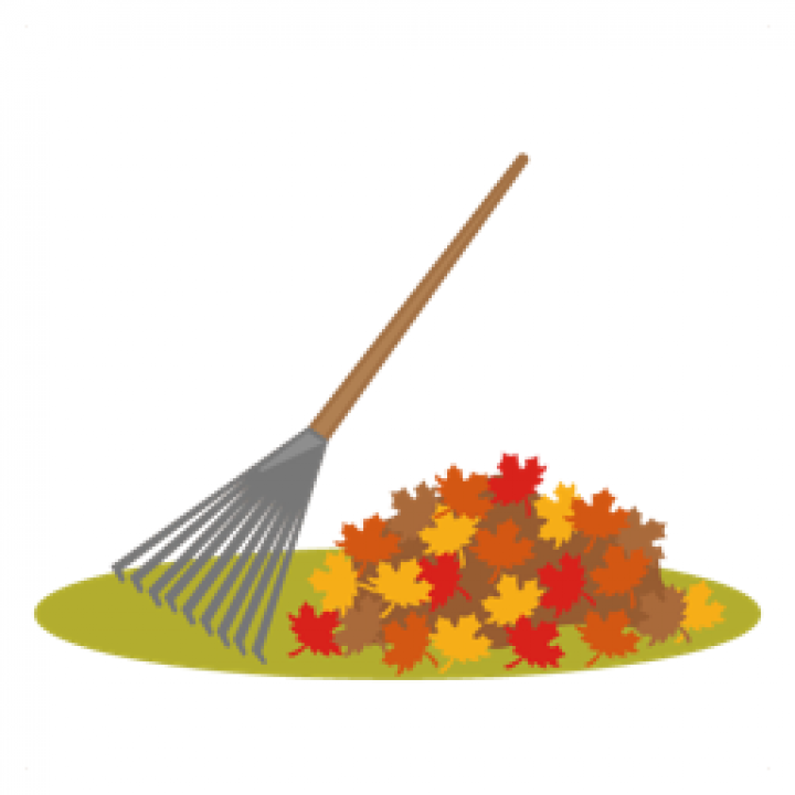 InnerView Opportunity Rake Leaves for an Elderly Neighbor