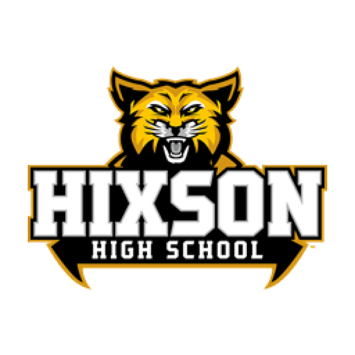 InnerView Group Profile Hixson High School innerview-group-profile-hixson-high-school