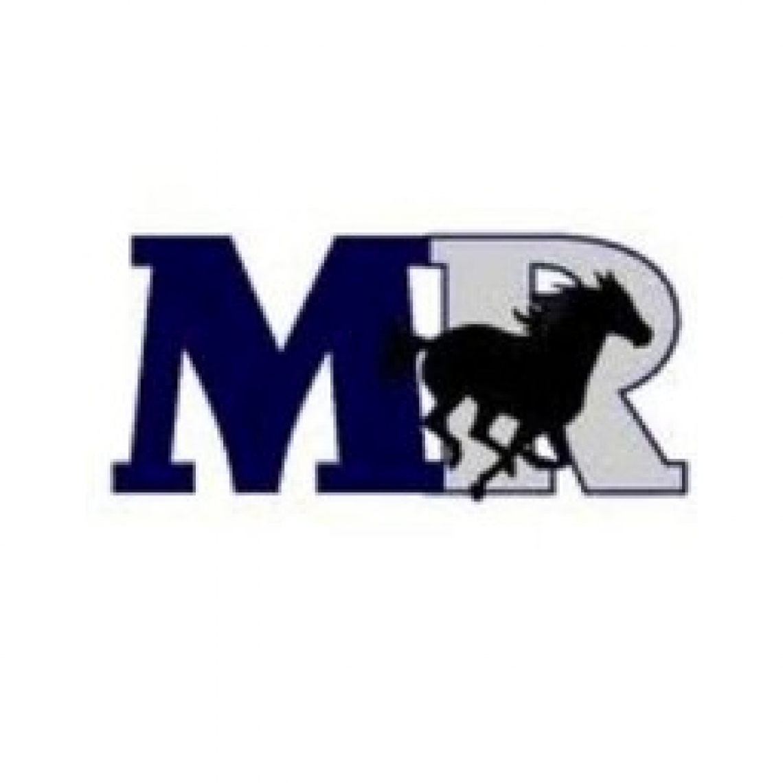 InnerView Group Profile Marriotts Ridge High School