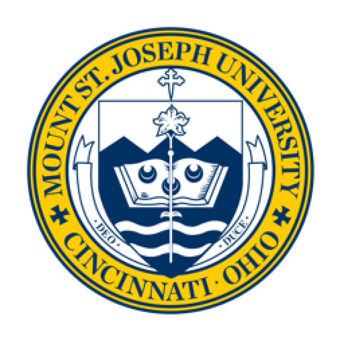 InnerView Group Profile Mount St. Joseph University