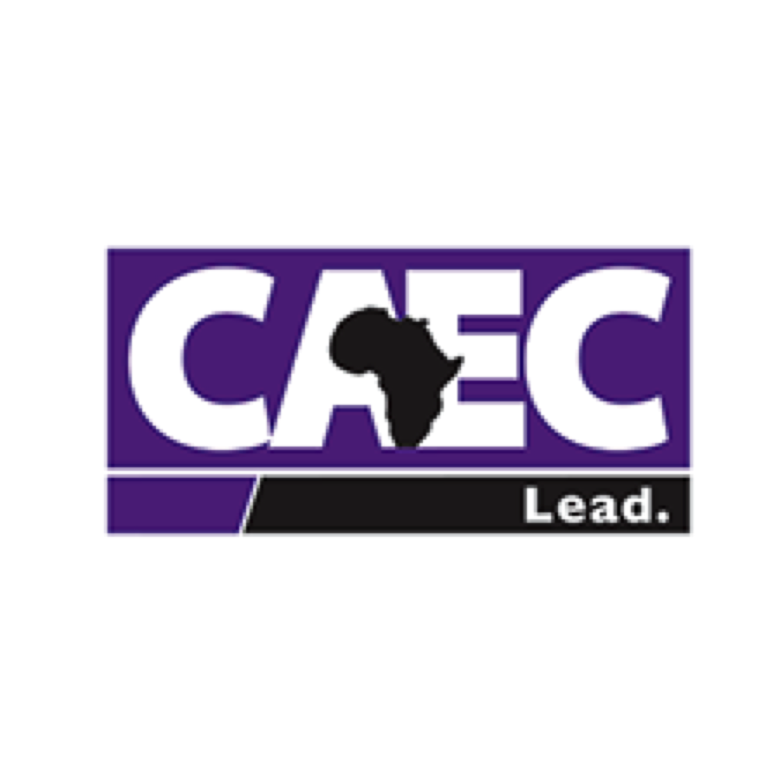 InnerView Group Profile Columbus Africentric Early College High School