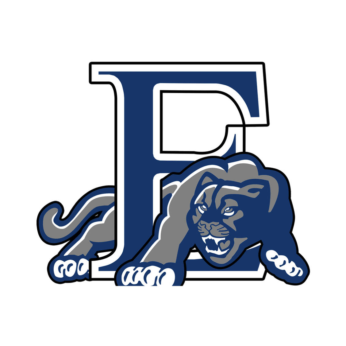 InnerView Group Profile Edgewood High School